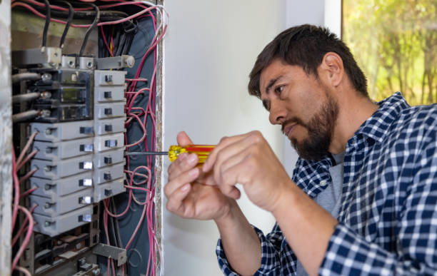 Best Electric Panel Repair  in Lewisville, WA